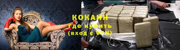шишки Горно-Алтайск