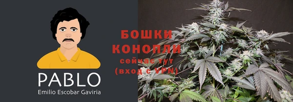 шишки Горно-Алтайск