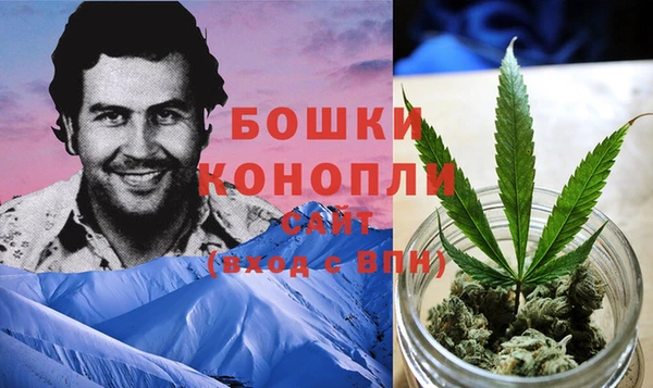 шишки Горно-Алтайск