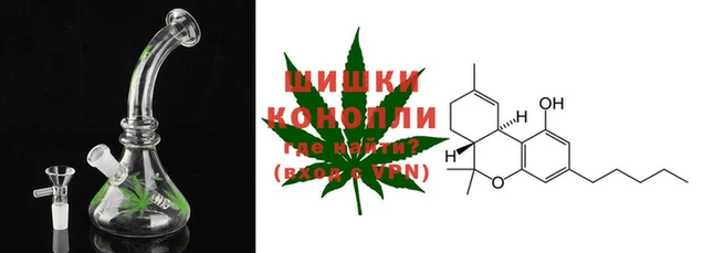 шишки Вязьма