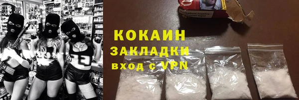 шишки Вязьма