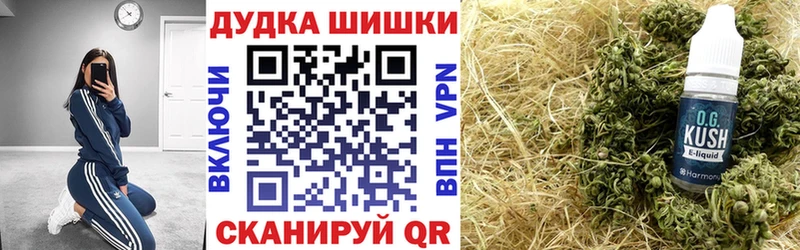 Купить закладки  Чадан  Канабис индика 
